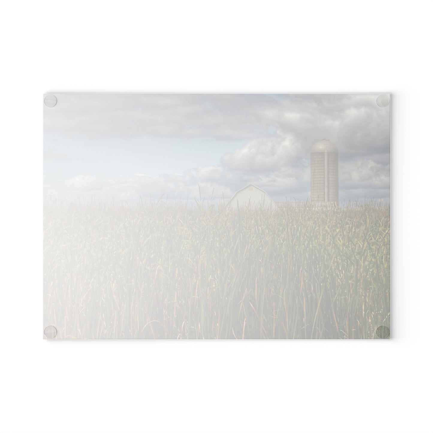 U R There Photography White Barn Overlooking Cornfield Rustic Farmhouse Tempered-Glass Cutting Board