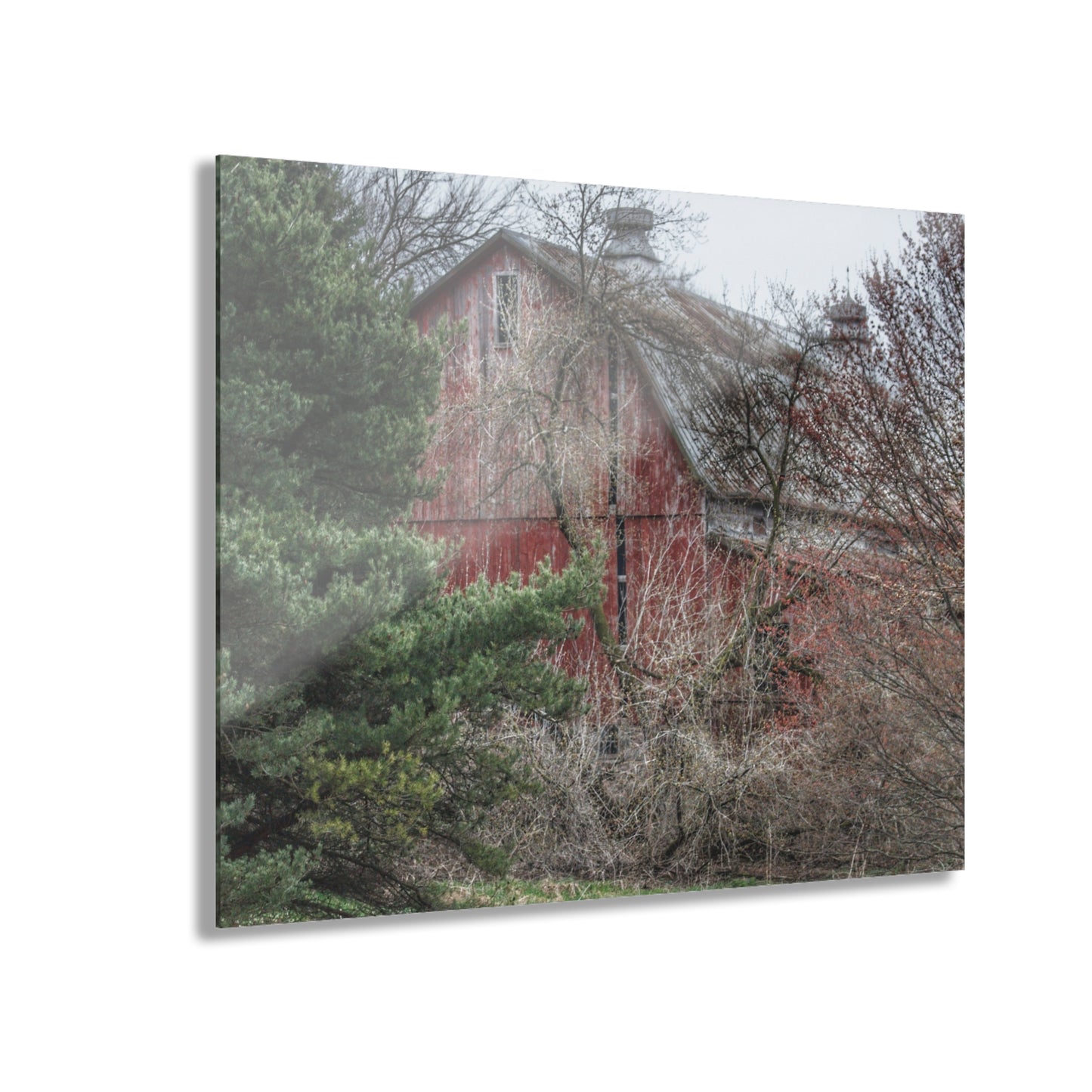 U R There Photography Morris Road Hidden Rustic Farmhouse Acrylic Wall Print