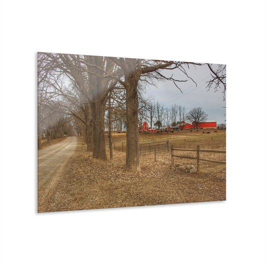 U R There Photography Wilder Road Cow Farm Rustic Farmhouse Acrylic Wall Print