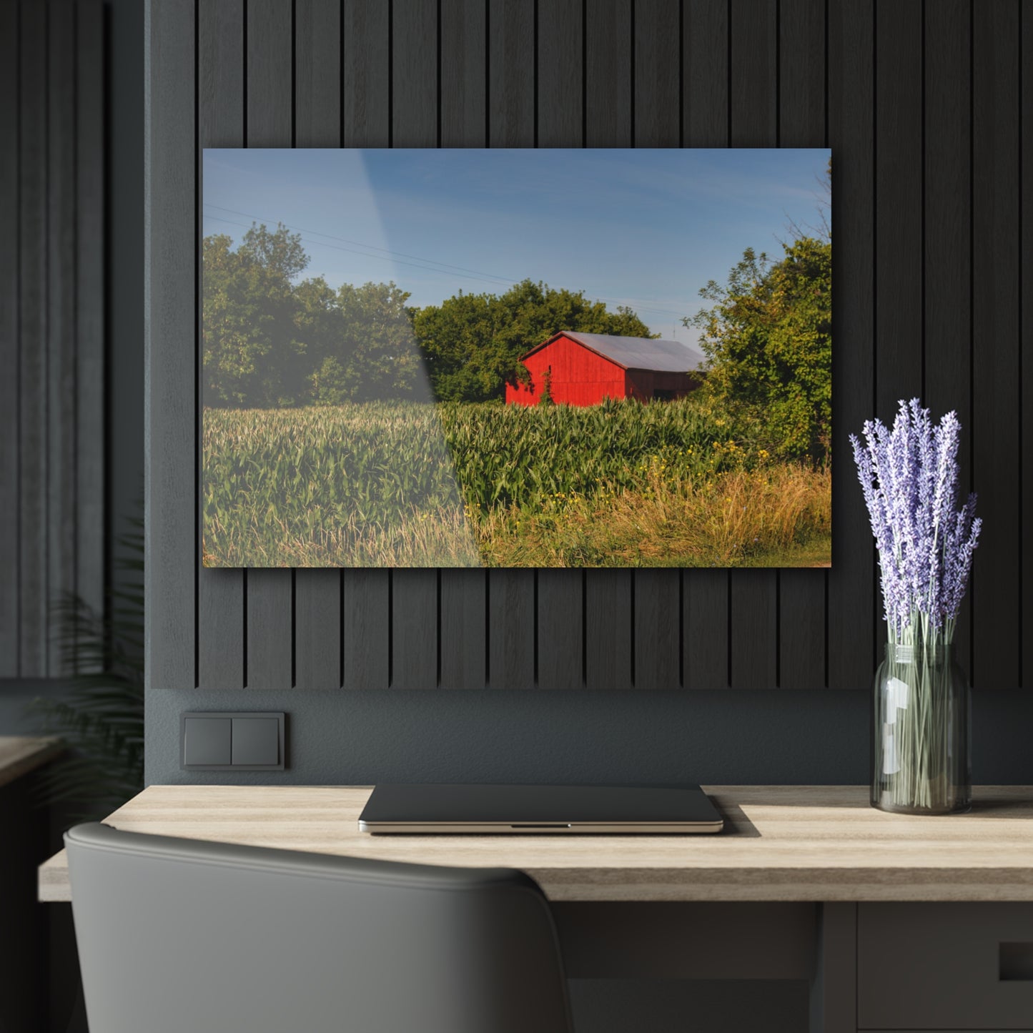 U R There Photography Willard Road Red II Rustic Farmhouse Acrylic Wall Print