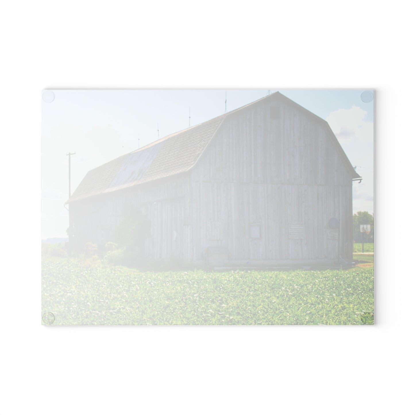 U R There Photography Morning Roadside Grey Rustic Farmhouse Tempered-Glass Cutting Board