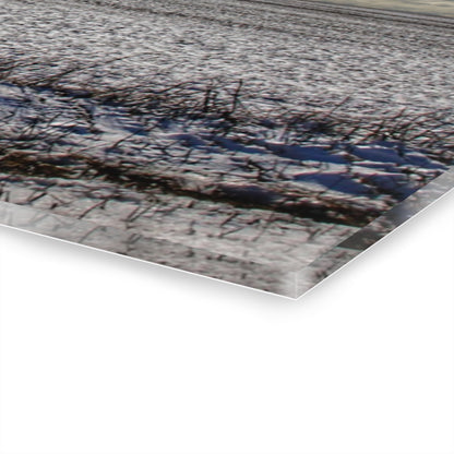 U R There Photography Early Spring Grey I Rustic Farmhouse Acrylic Wall Print