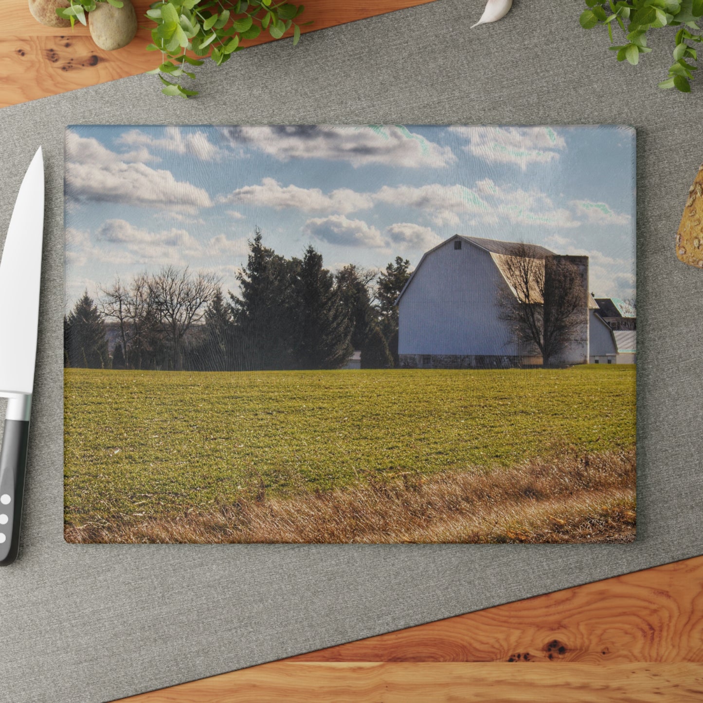 U R There Photography Sandusky White Rustic Farmhouse Tempered-Glass Cutting Board