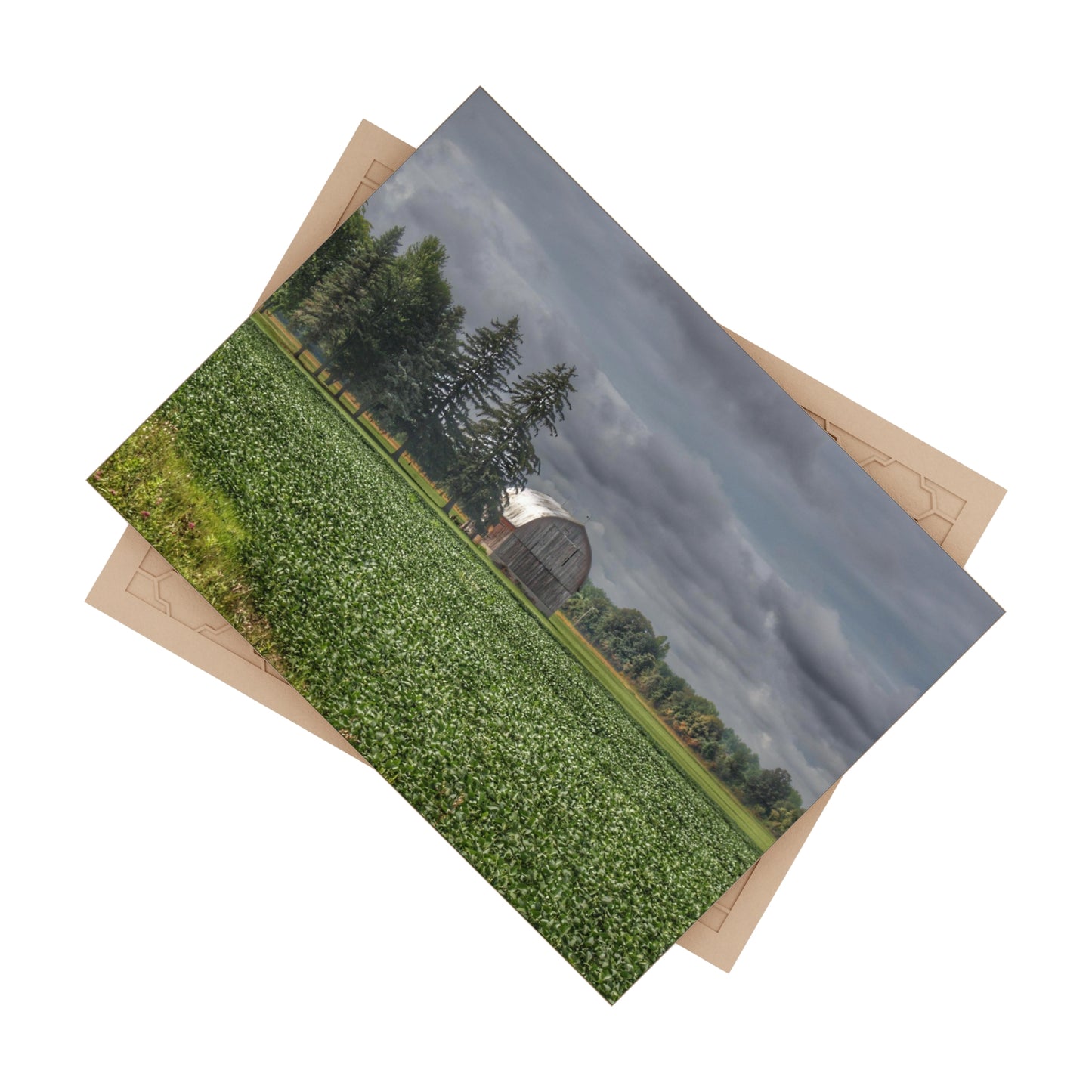 U R There Photography Belsay Grey Among the Pines Rustic Farmhouse Decorative Ceramic Tile