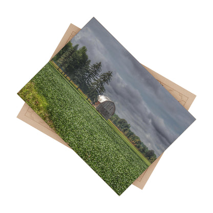 U R There Photography Belsay Grey Among the Pines Rustic Farmhouse Decorative Ceramic Tile