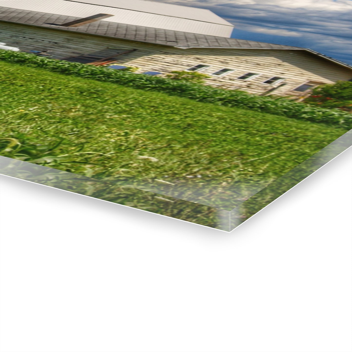 U R There Photography Lake Road Whites Rustic Farmhouse Acrylic Wall Print