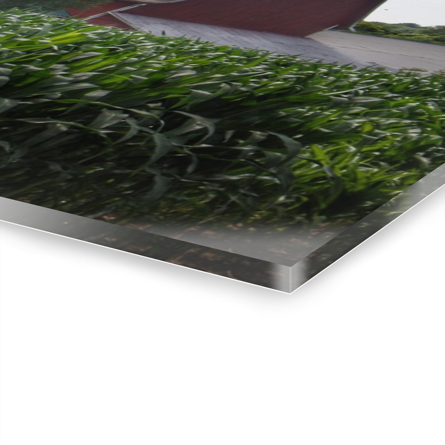 U R There Photography Above the Corn on Piersonville Road III Rustic Farmhouse Acrylic Wall Print