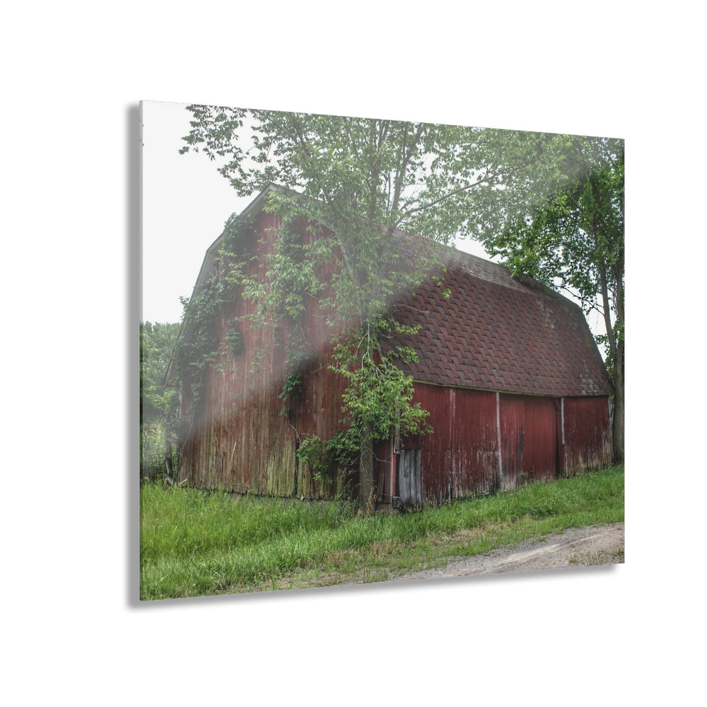 U R There Photography West Murphy Lake Red Rustic Farmhouse Acrylic Wall Print