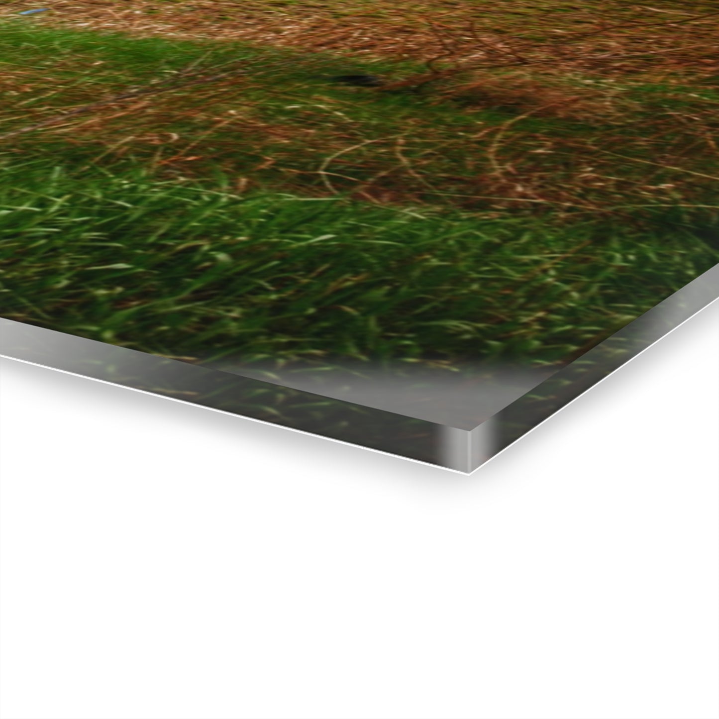 U R There Photography Fostoria Road Quonset Rustic Farmhouse Acrylic Wall Print