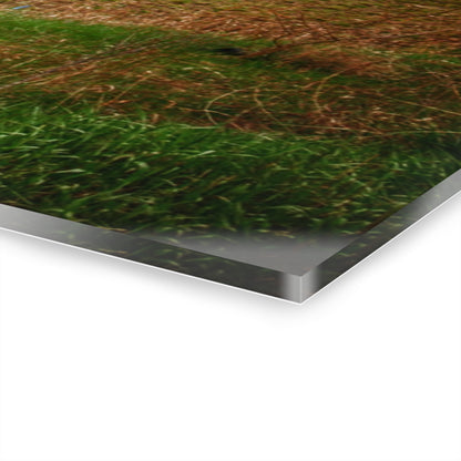 U R There Photography Fostoria Road Quonset Rustic Farmhouse Acrylic Wall Print