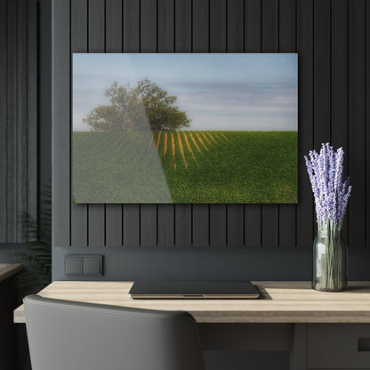 U R There Photography Tree Overlooking Farm Field Rustic Farmhouse Acrylic Wall Print