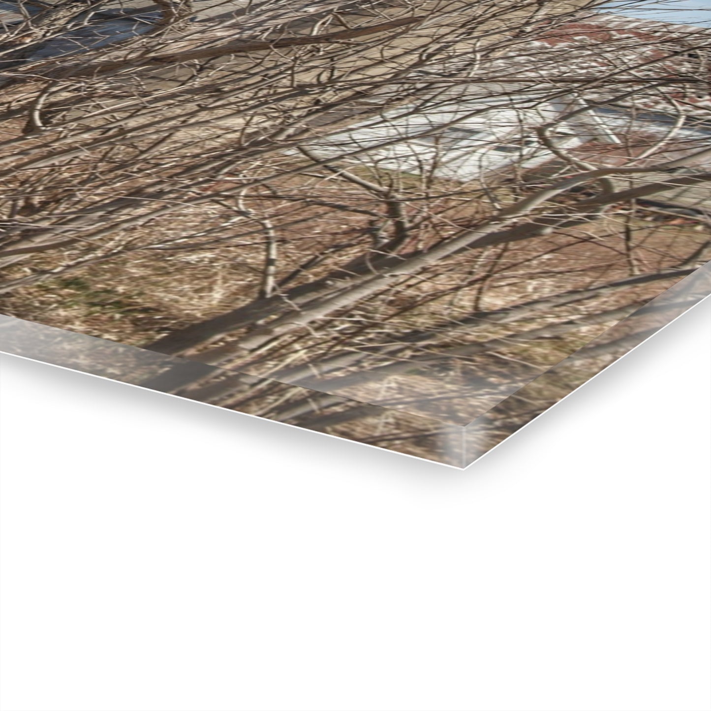 U R There Photography Hill Road Hidden Grey I Rustic Farmhouse Acrylic Wall Print