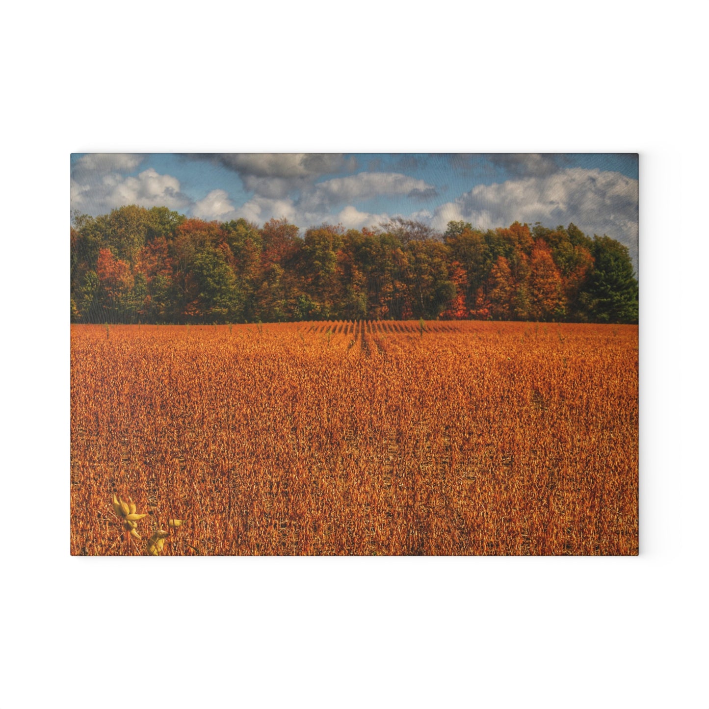 U R There Photography Fall on Murphy Lake I Rustic Farmhouse Tempered-Glass Cutting Board