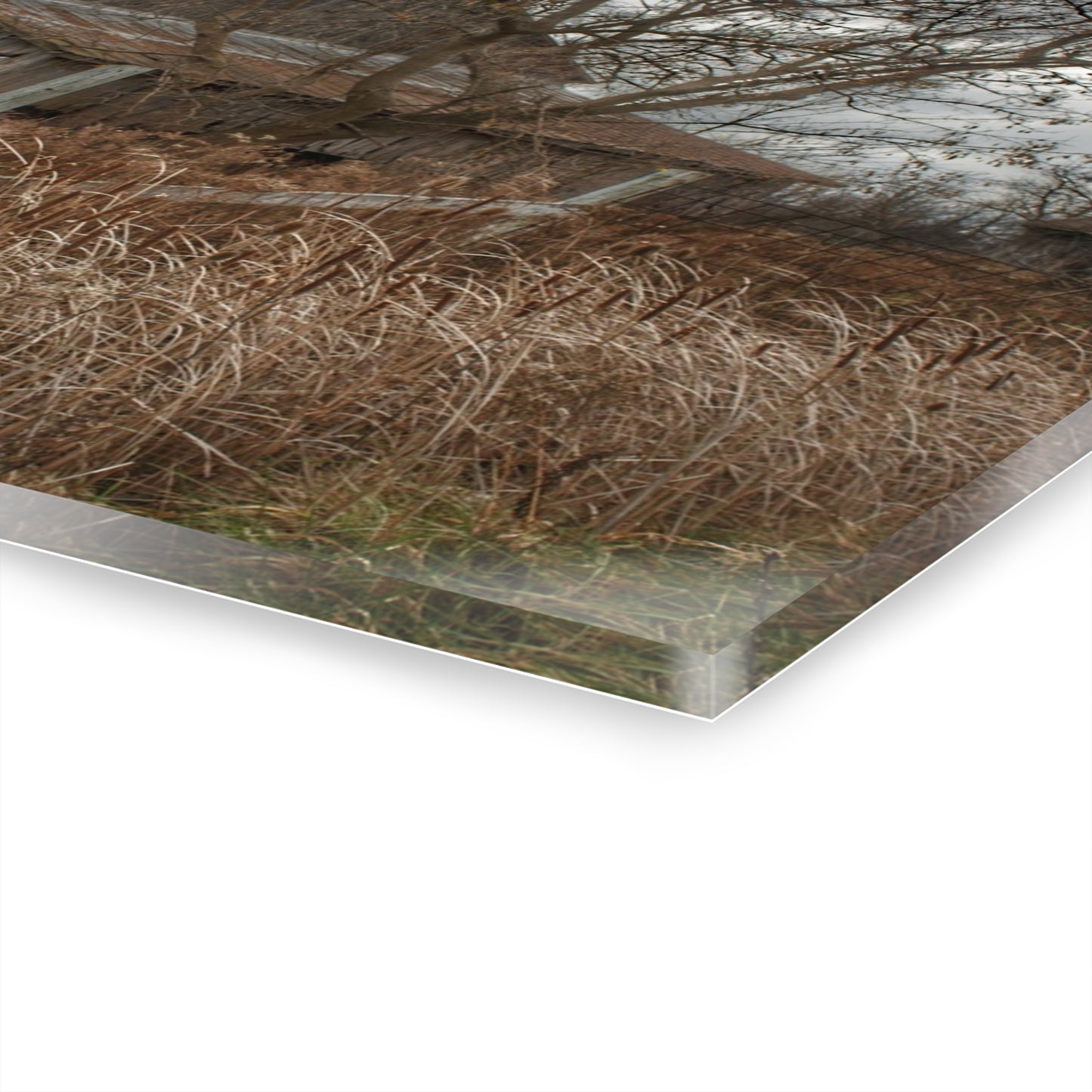 U R There Photography Grey Saltbox Rustic Farmhouse Acrylic Wall Print