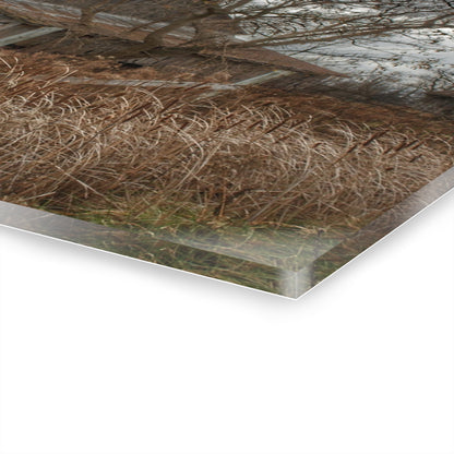 U R There Photography Grey Saltbox Rustic Farmhouse Acrylic Wall Print