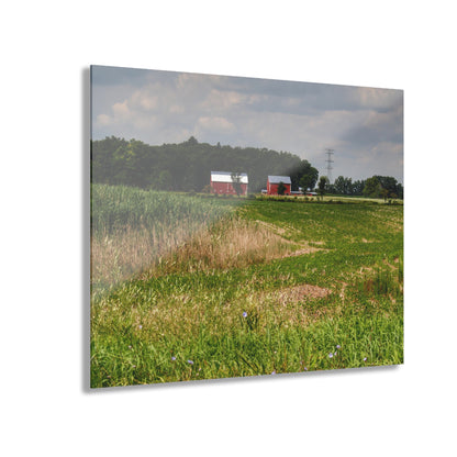 Rustic Farmhouse Wall Print Featuring Across the Field in Elba II