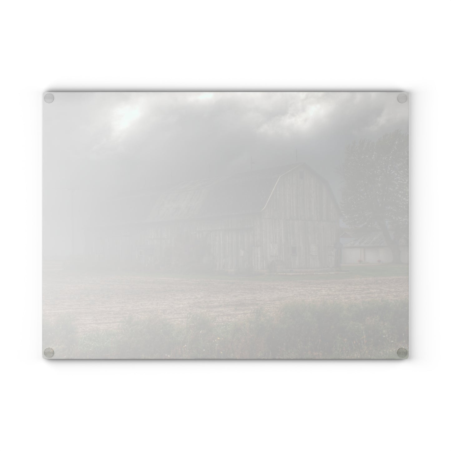 U R There Photography Waterman Road Grey II Rustic Farmhouse Tempered-Glass Cutting Board 8 "x 11"