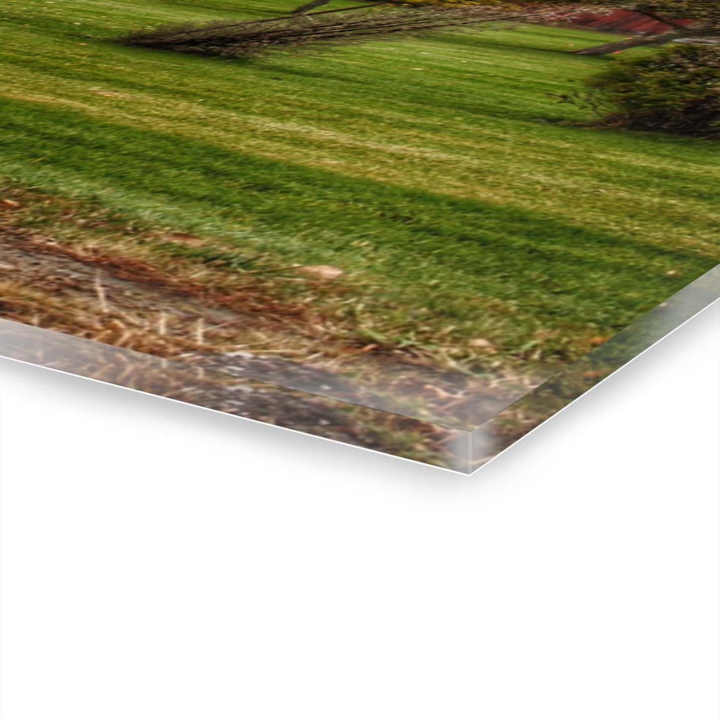 U R There Photography Goodrich Grey Rustic Farmhouse Acrylic Wall Print