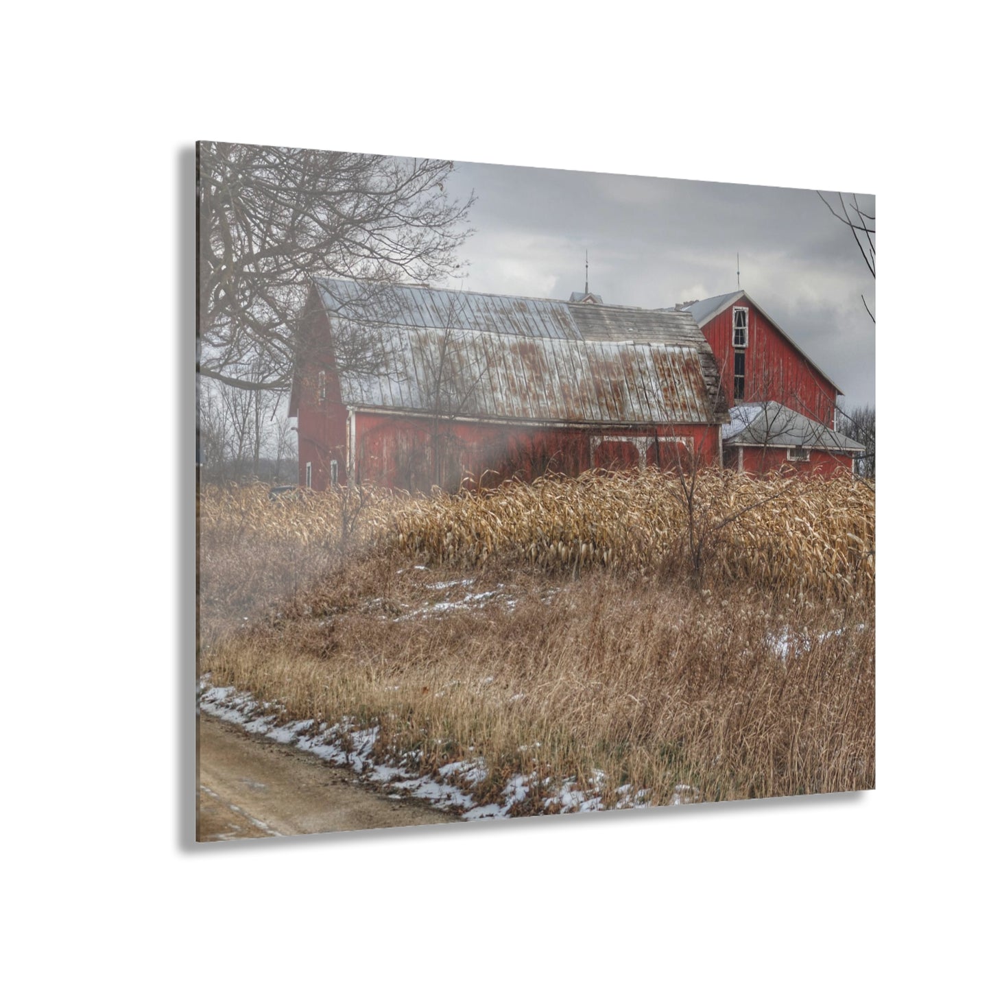 U R There Photography Edward Road Reds Rustic Farmhouse Acrylic Wall Print