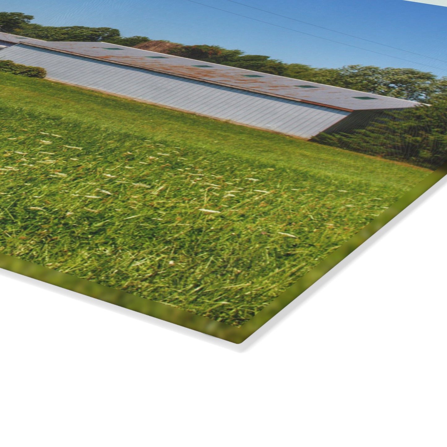 U R There Photography McPherson Greys Rustic Farmhouse Tempered-Glass Cutting Board