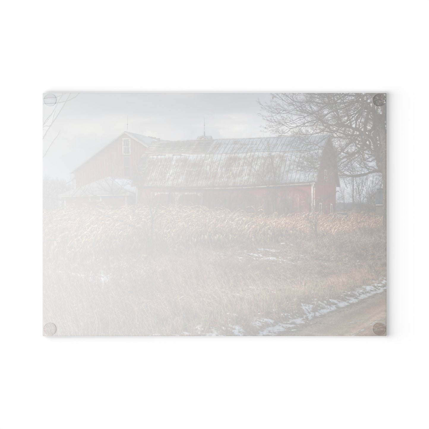 U R There Photography Edward Road Reds Rustic Farmhouse Tempered-Glass Cutting Board