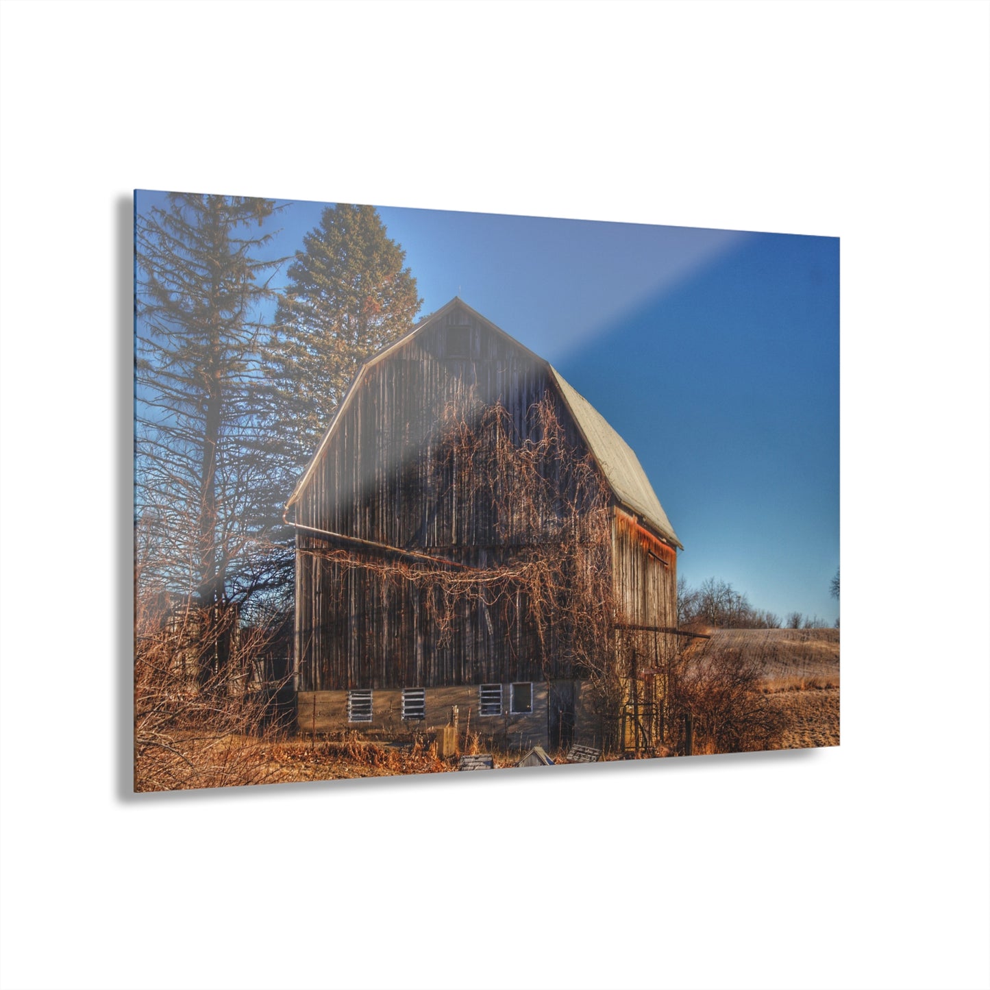 U R There Photography Newark Road Brown Beauty Rustic Farmhouse Acrylic Wall Print