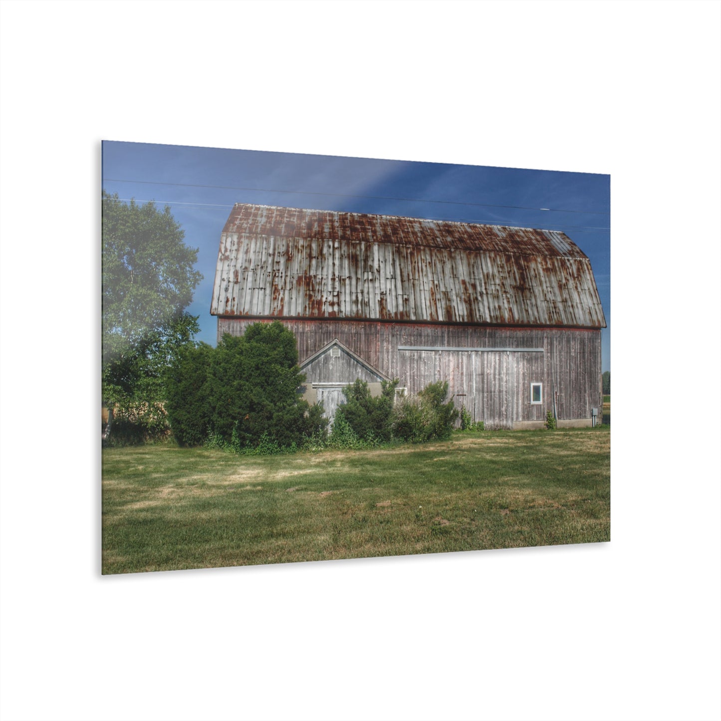 U R There Photography Barkley Road Red in Summer I Rustic Farmhouse Acrylic Wall Print