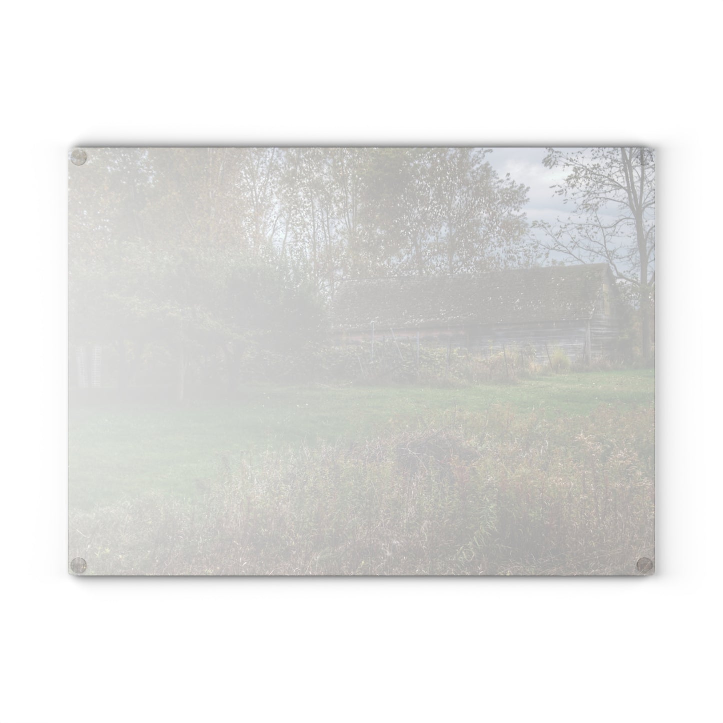 U R There Photography Grey Shack of Elmwood Rustic Farmhouse Tempered-Glass Cutting Board