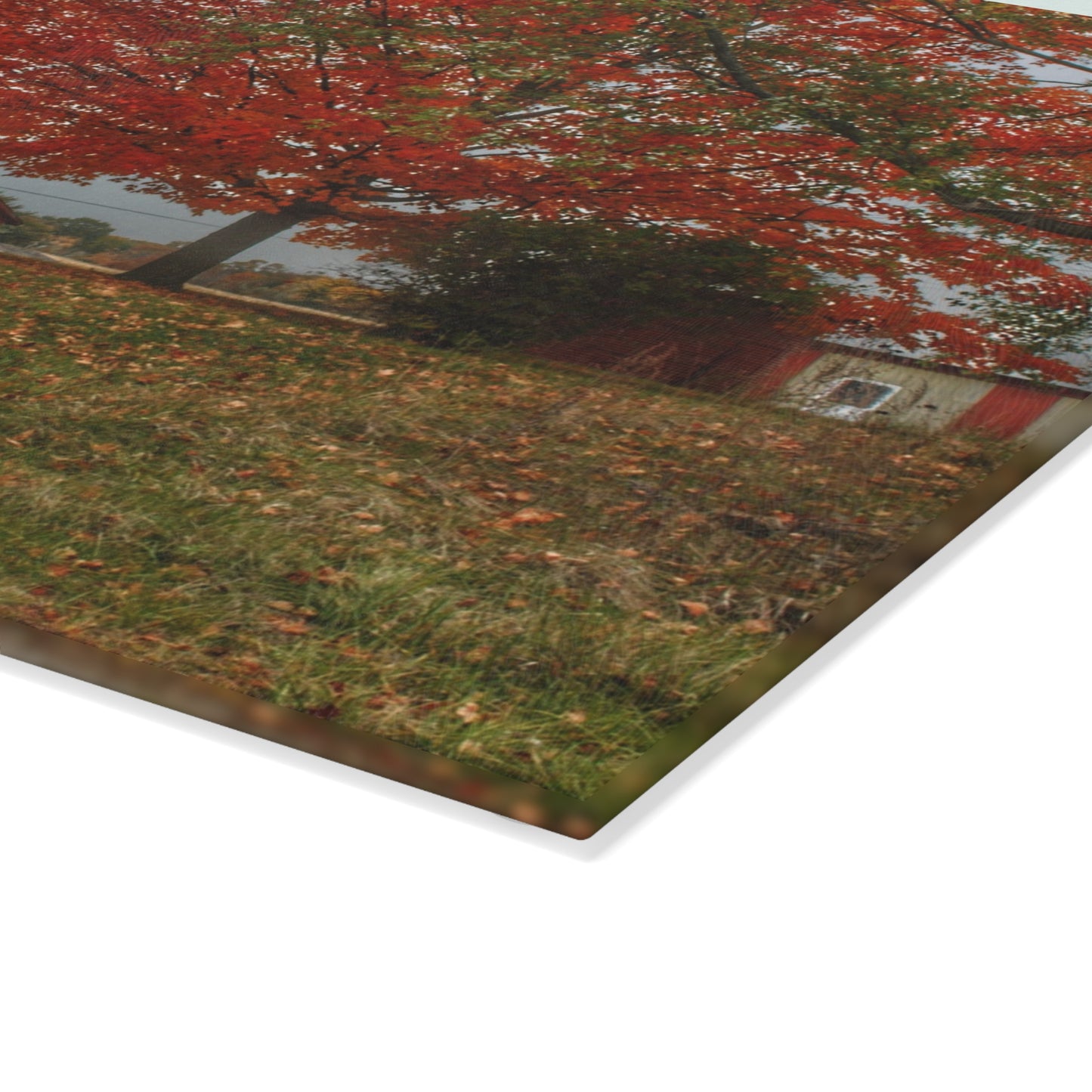 U R There Photography Goodrich Baldwin Road Reds II Rustic Farmhouse Tempered-Glass Cutting Board