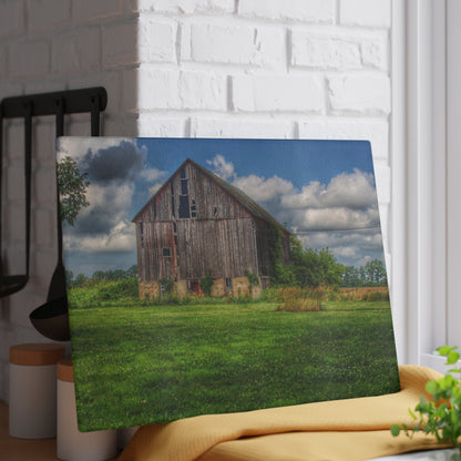 U R There Photography Bohms Road Grey II Rustic Farmhouse Tempered-Glass Cutting Board