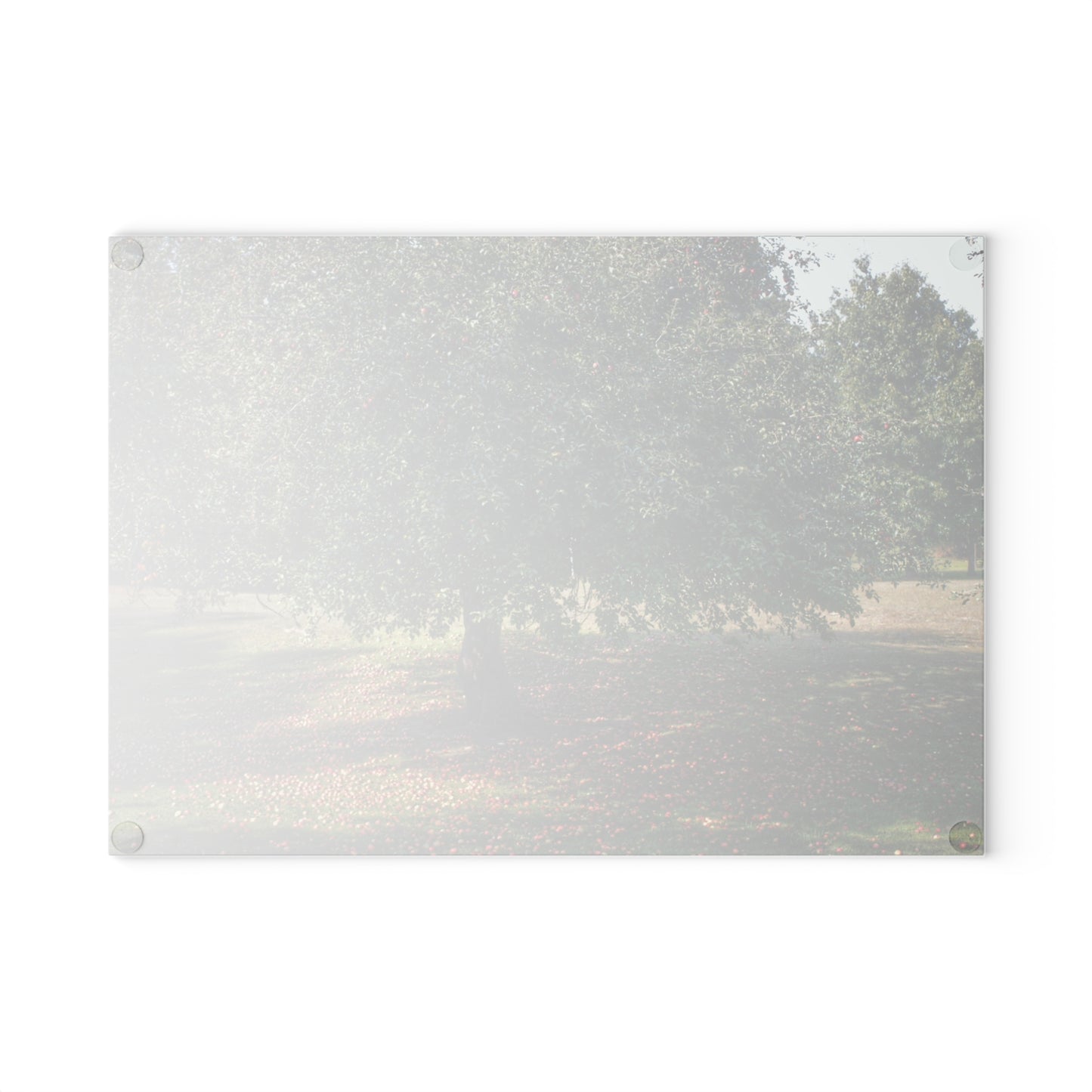 U R There Photography Apple Tree and Apples Rustic Farmhouse Tempered-Glass Cutting Board