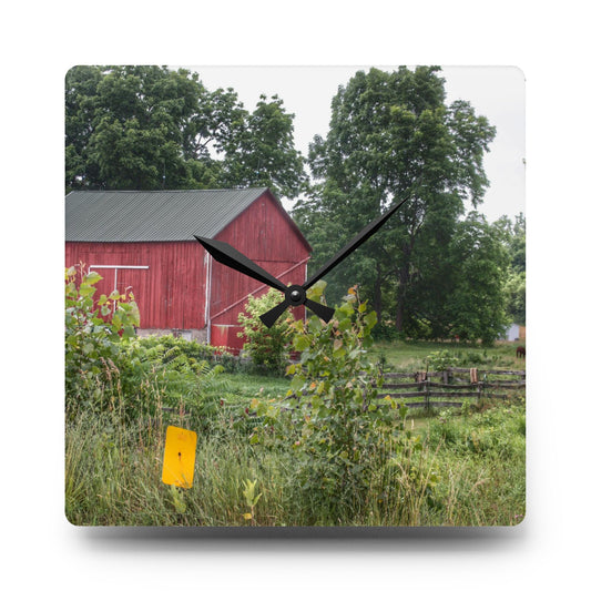 Clifford Road Alpaca Barn Rustic Farmhouse Acrylic Analog Wall Clock 10.75'' × 10.75'' (Square)