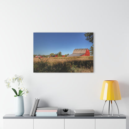 U R There Photography Red Saltbox Barn Rustic Farmhouse Acrylic Wall Print