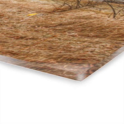 U R There Photography Mound Road Reds and Silo Rustic Farmhouse Acrylic Wall Print