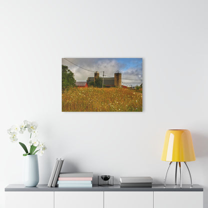 U R There Photography Brown Road Hidden Reds Rustic Farmhouse Acrylic Wall Print