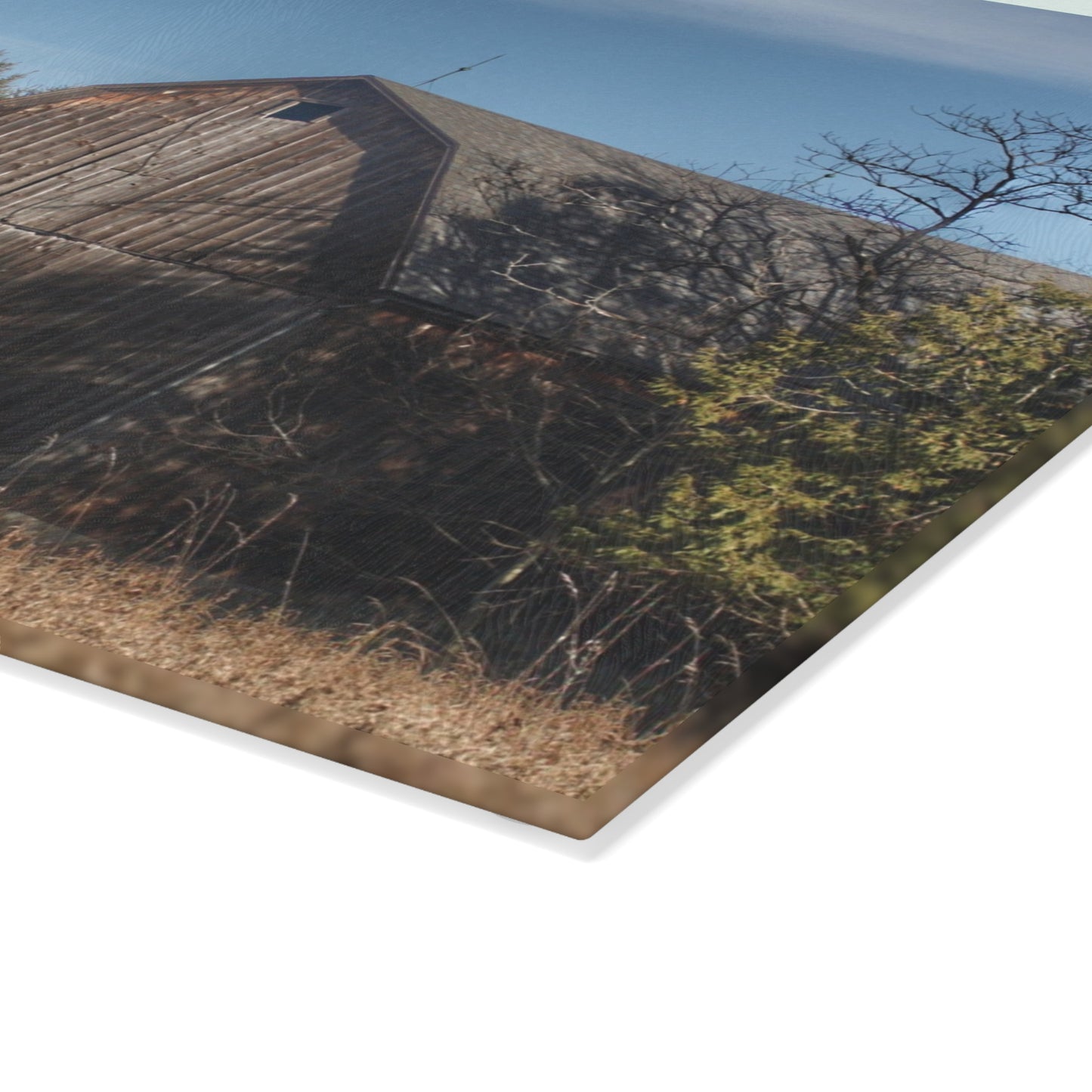 U R There Photography Washburn Old Grey Rustic Farmhouse Tempered-Glass Cutting Board