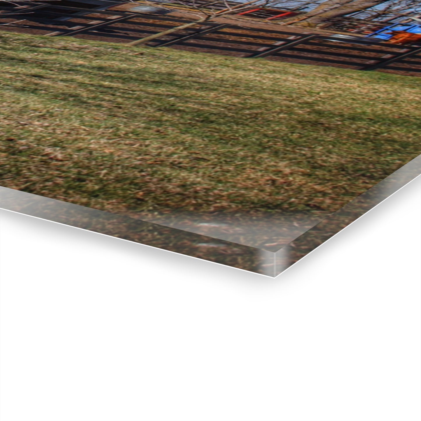 U R There Photography Imlay City Road Cow Barn II Rustic Farmhouse Acrylic Wall Print 14 "x 11"