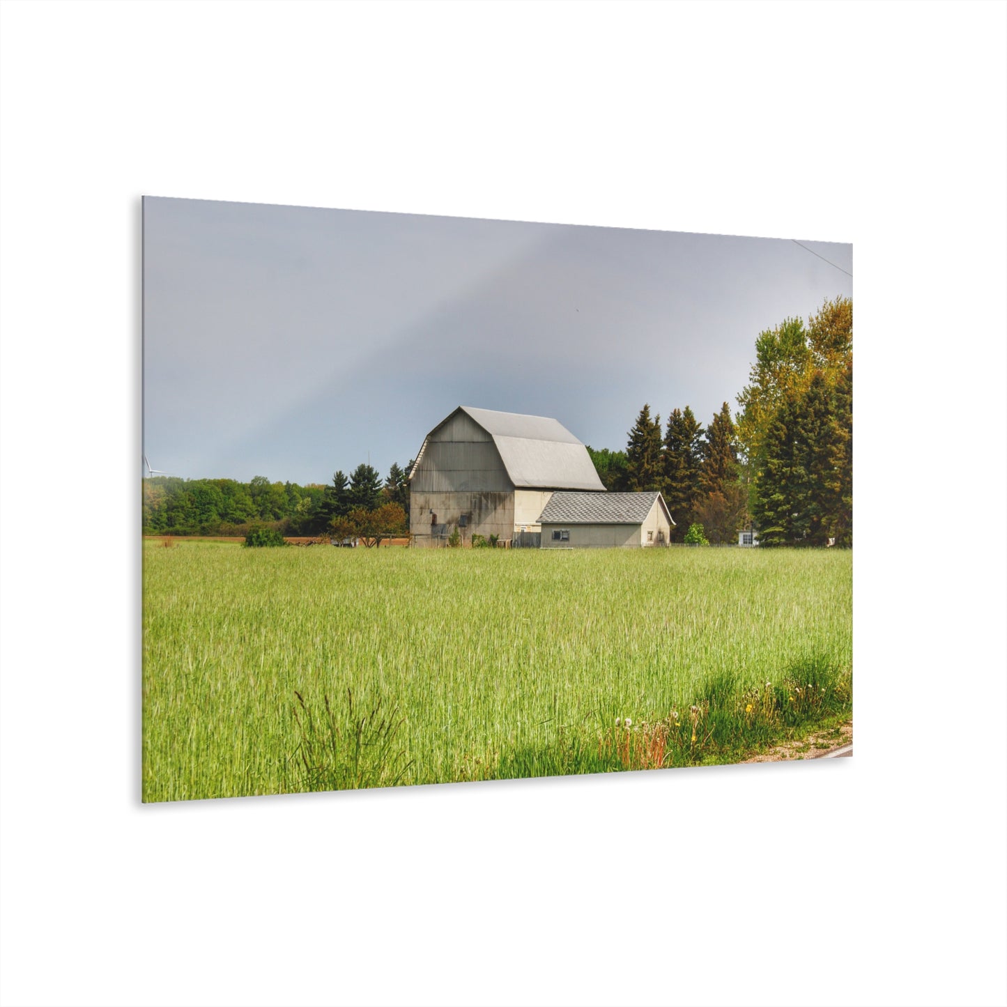 U R There Photography North Graf Road White Rustic Farmhouse Acrylic Wall Print