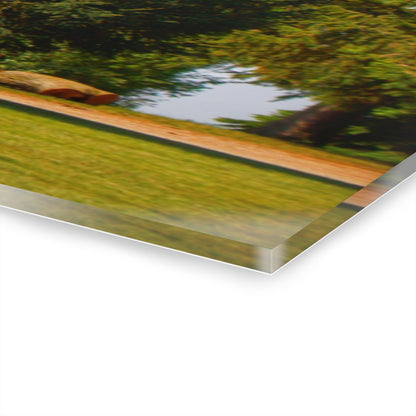 U R There Photography Mushroom Road Hidden Red Rustic Farmhouse Acrylic Wall Print