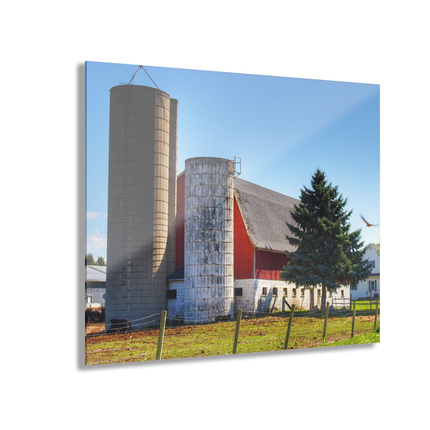 U R There Photography Hunters Creek Red Cow Barn I Rustic Farmhouse Acrylic Wall Print