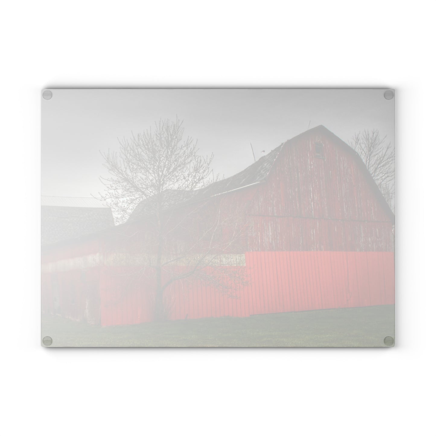 U R There Photography Almont Reds Rustic Farmhouse Tempered-Glass Cutting Board