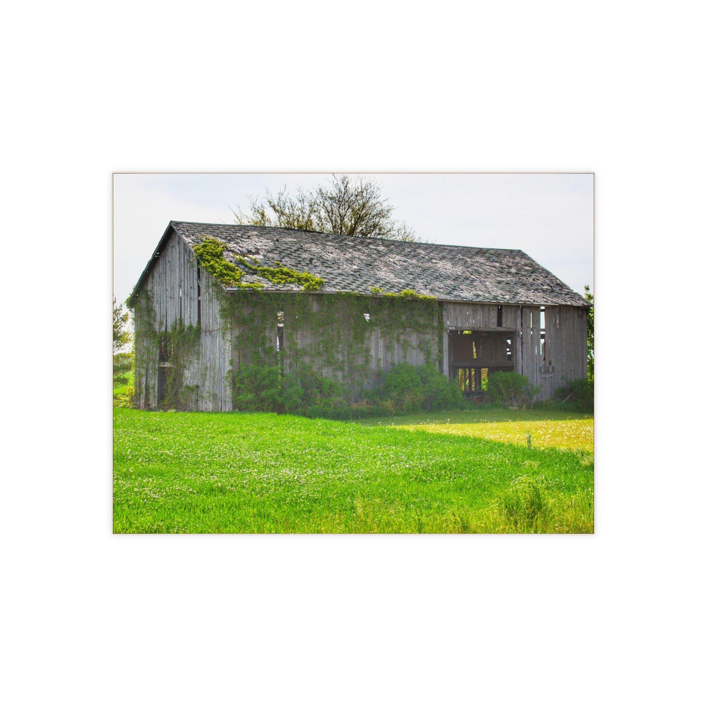 U R There Photography Caro Road Twin Grey II Rustic Farmhouse Decorative Ceramic Tile