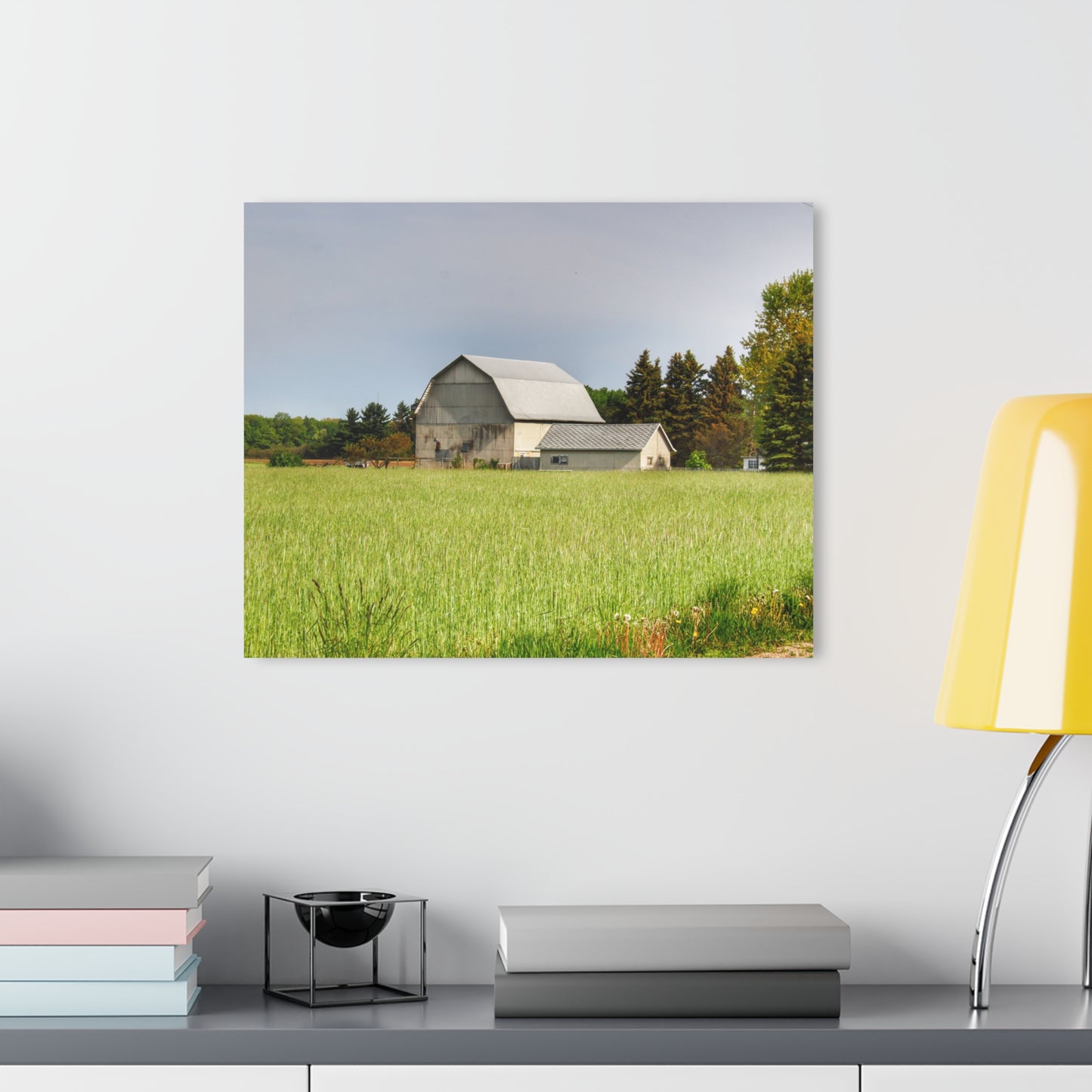 U R There Photography North Graf Road White Rustic Farmhouse Acrylic Wall Print