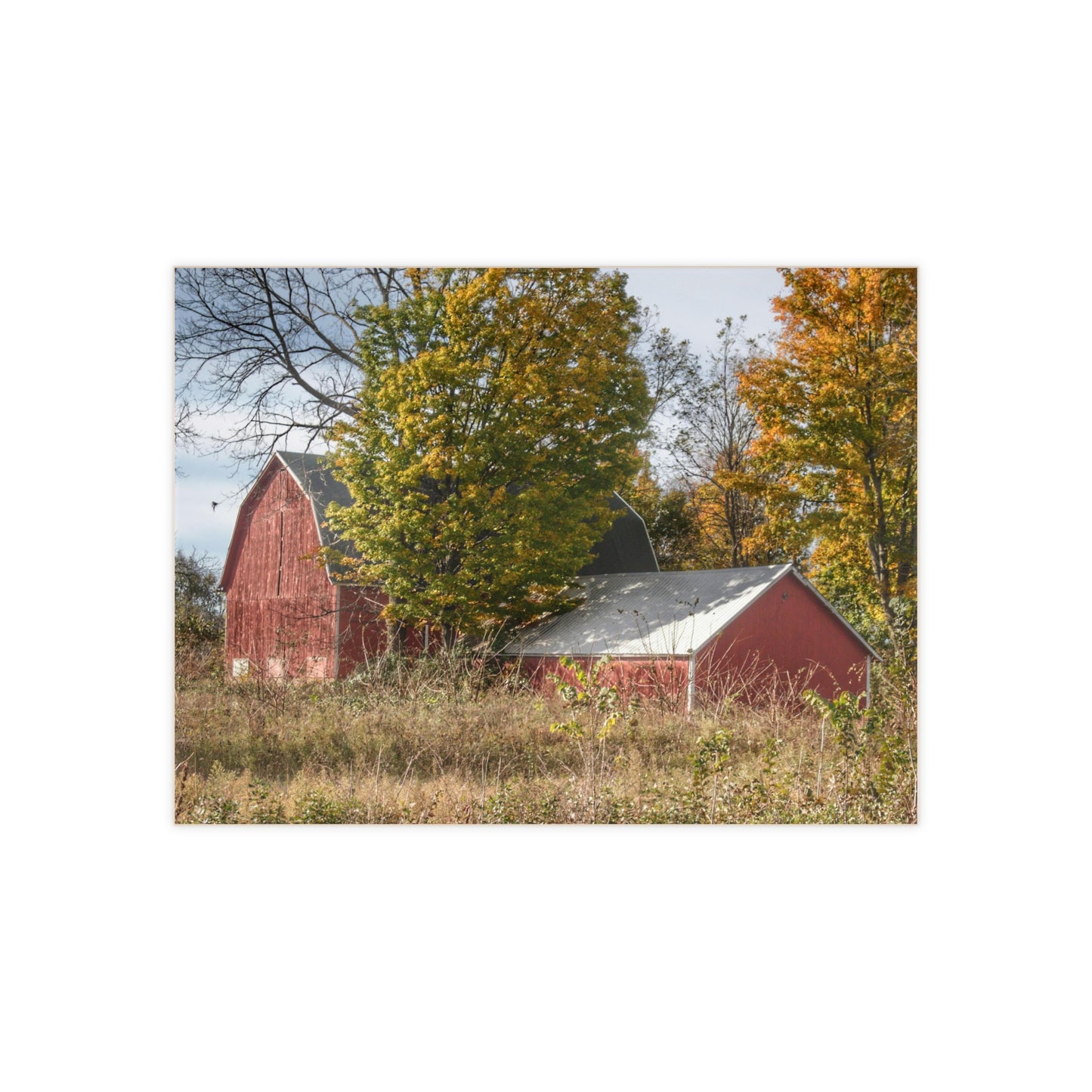 U R There Photography Bowers Road Red I Rustic Farmhouse Decorative Ceramic Tile