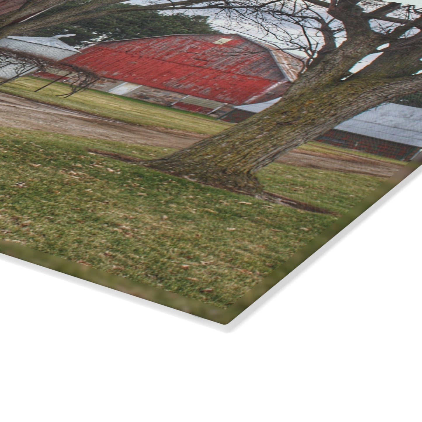 U R There Photography Peck Reds Rustic Farmhouse Tempered-Glass Cutting Board 8"x 11"