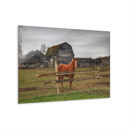 U R There Photography South Summers Road Old Grey and Caramel IV Rustic Farmhouse Acrylic Wall Print