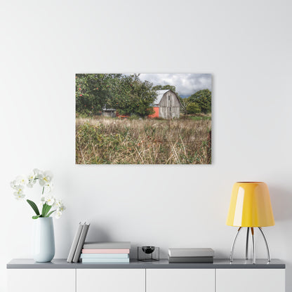 U R There Photography East Frances Road Hidden Grey I Rustic Farmhouse Acrylic Wall Print