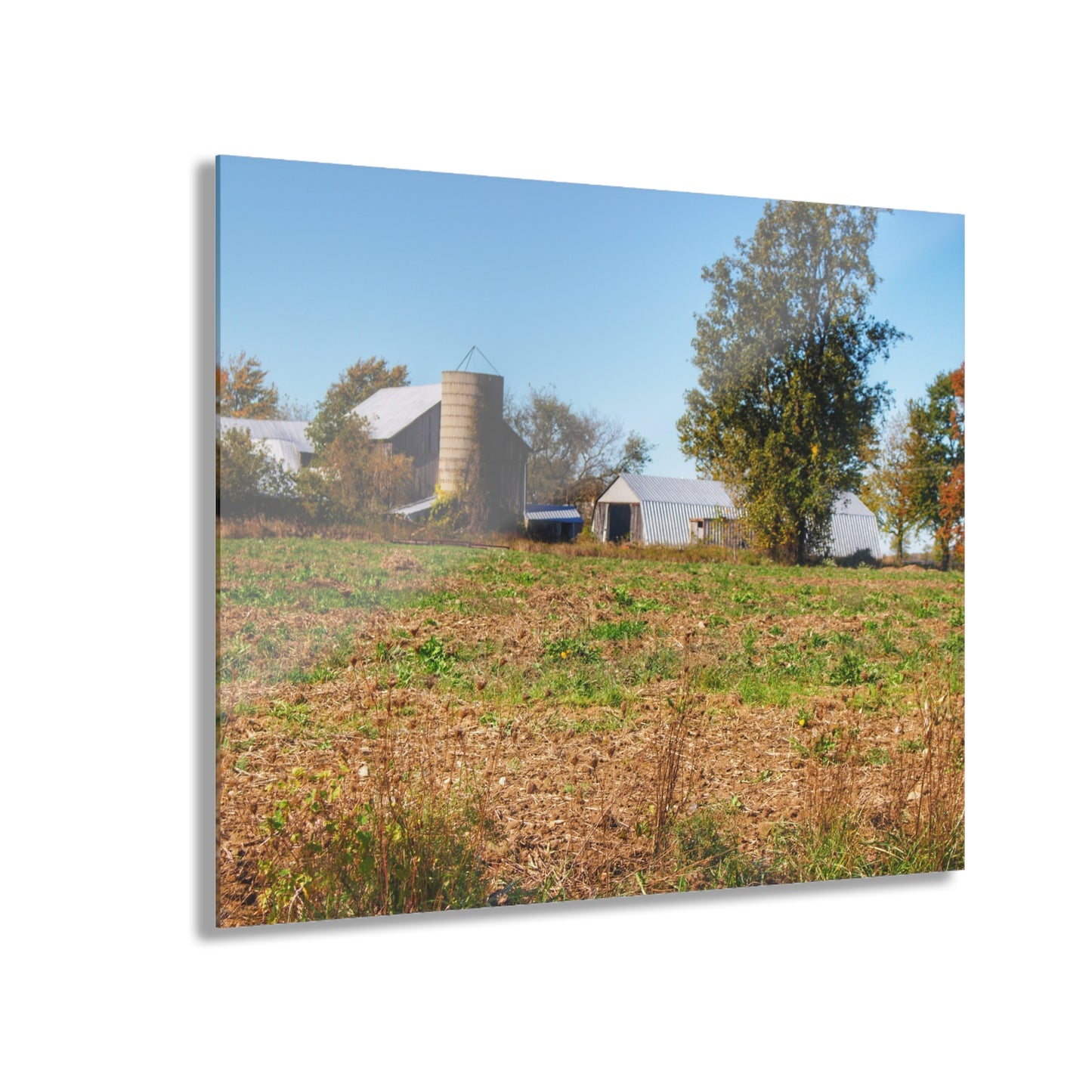 U R There Photography Freiberger Road Greys Rustic Farmhouse Acrylic Wall Print