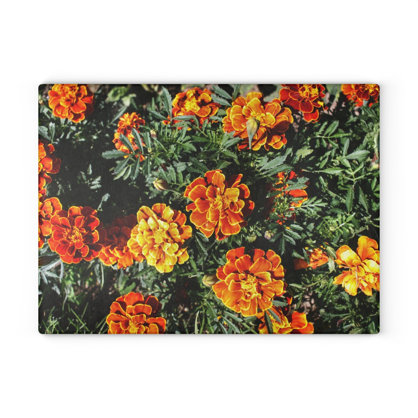 U R There Photography Marigolds Rustic Farmhouse Tempered-Glass Cutting Board