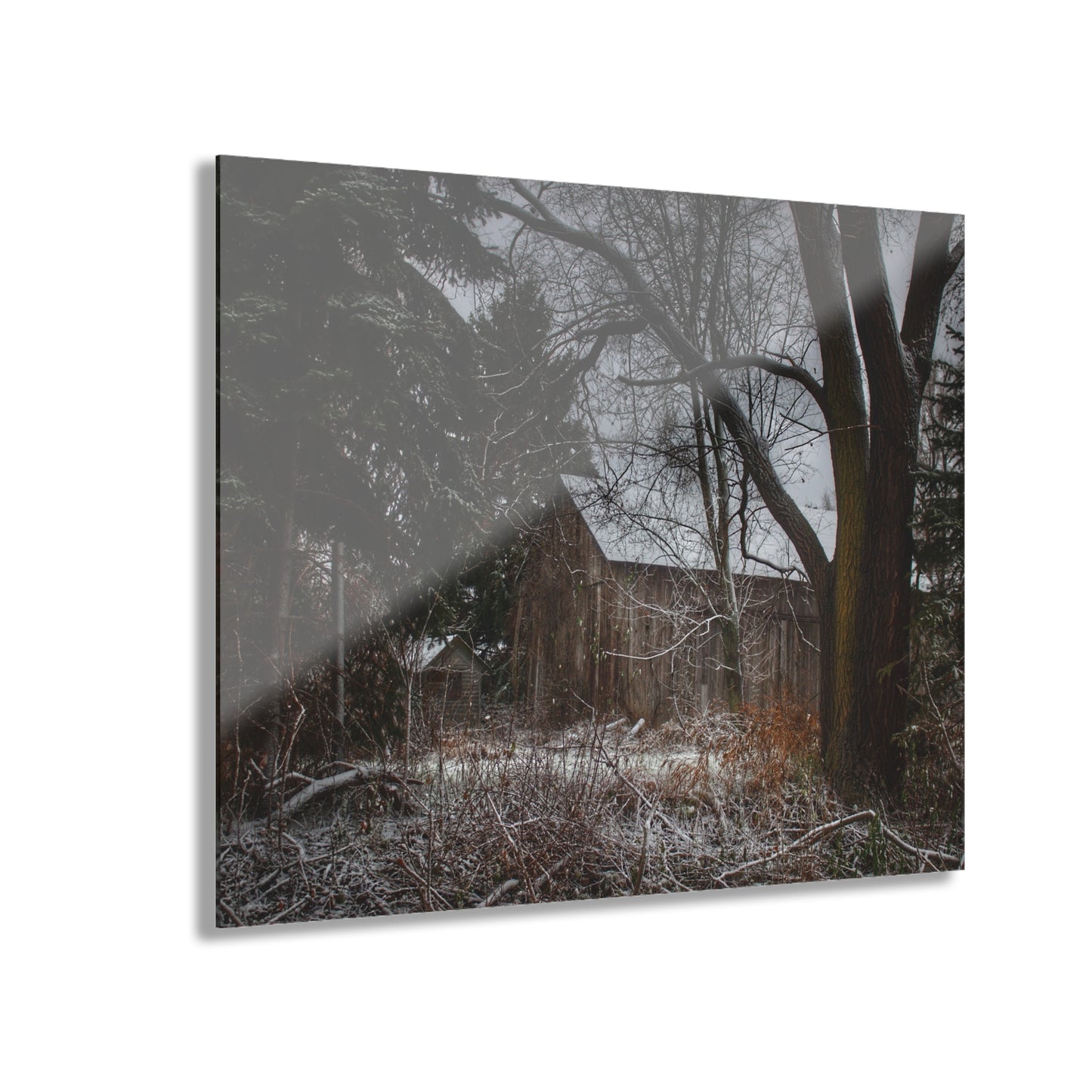 U R There Photography Willard Road Hidden Grey Rustic Farmhouse Acrylic Wall Print
